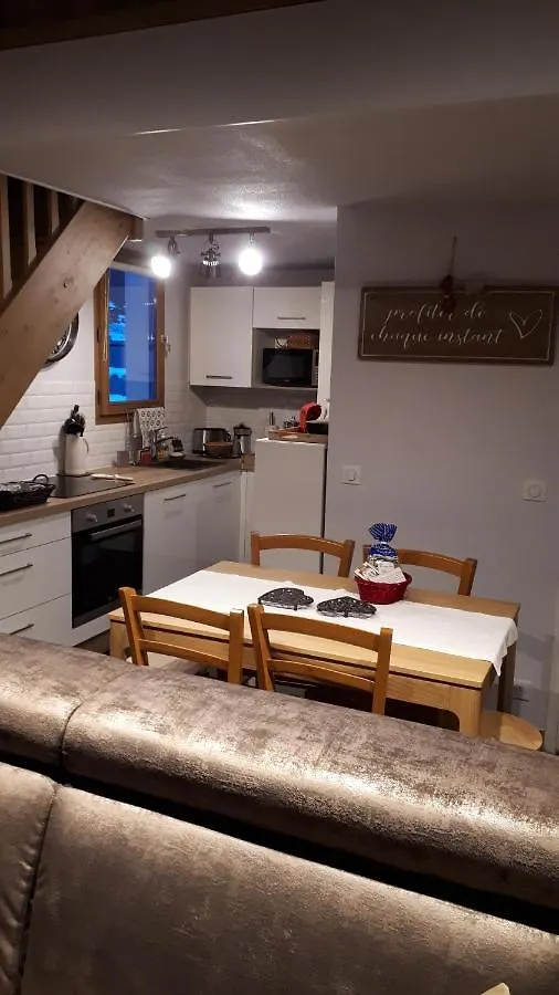 Vue Magnifique: Duplex Ski Retreat with Garage and Wi-Fi Saint-Gervais-les-Bains Apartment